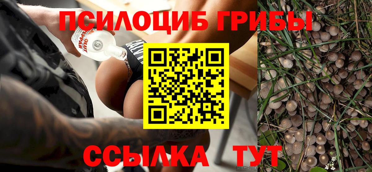 Псилоцибиновые грибы MAGIC MUSHROOMS Карасук